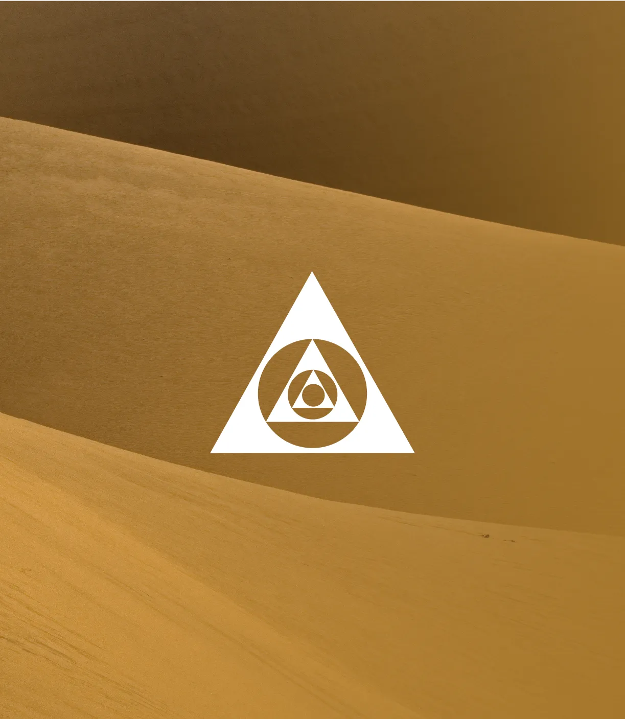 Brand identity, visual system, and website for an ancient manuscript research institute partnering with the University of Otago and the University of Oxford. POV NZ (www.pov.nz)