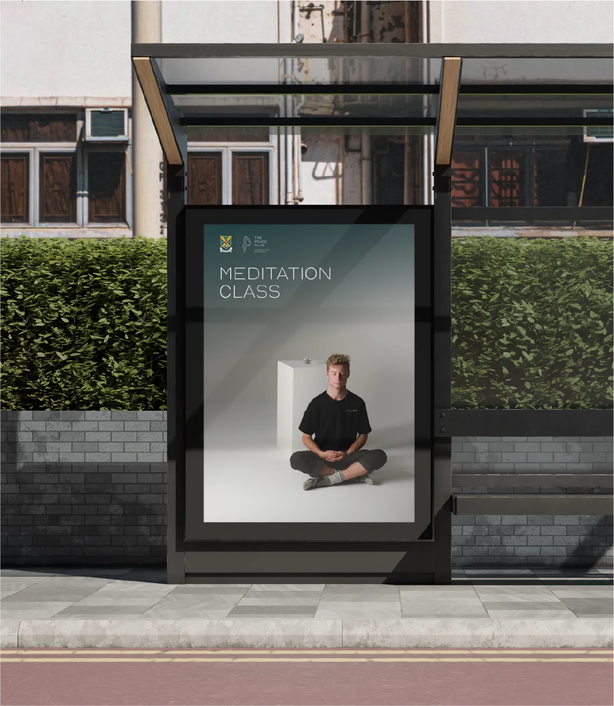 The Peace Club brand identity website Dunedin New Zealand - Designed by POV NZ www.pov.nz